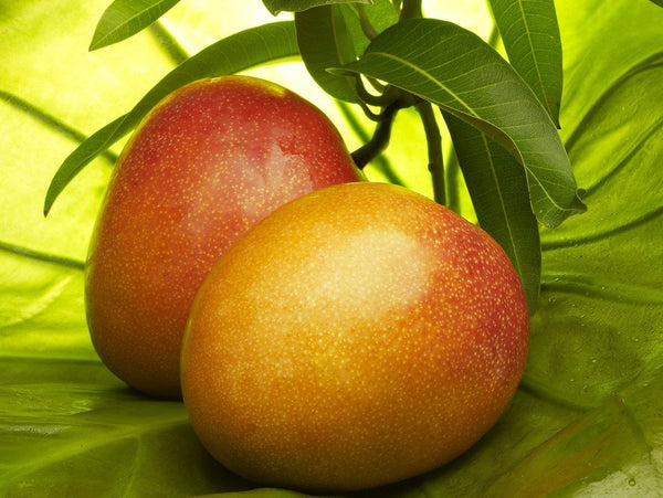 Delicious Mango